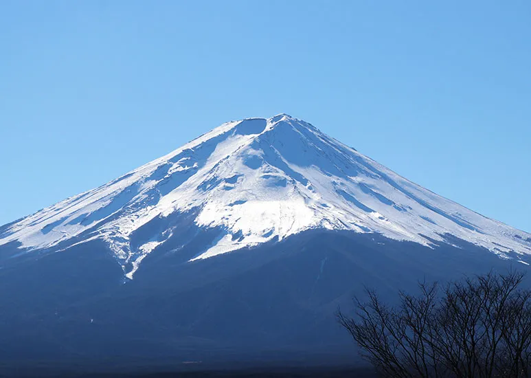 富士山度假酒店 可以欣赏到 富士山美景的酒店